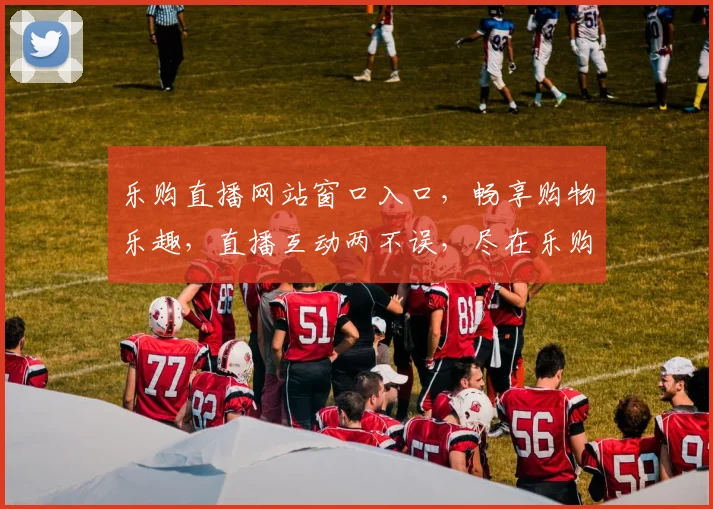 乐购直播网站窗口入口，畅享购物乐趣，直播互动两不误，尽在乐购直播平台，惊喜连连