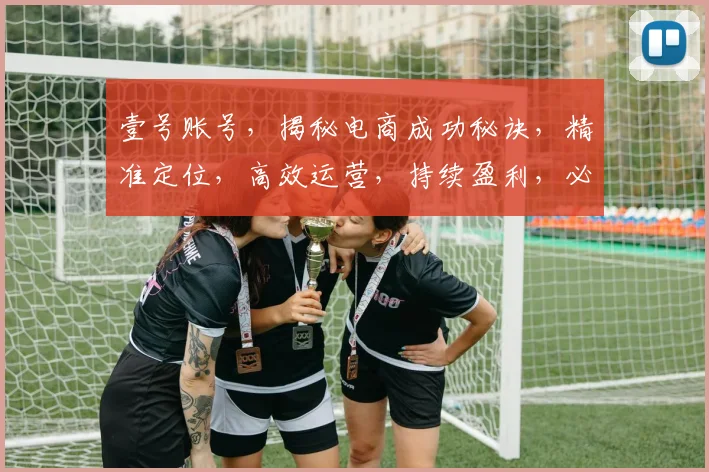 壹号账号，揭秘电商成功秘诀，精准定位，高效运营，持续盈利，必看攻略