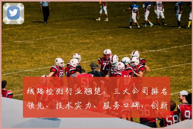 线路检测行业翘楚，三大公司排名领先，技术实力，服务口碑，创新精神，三重优势共鉴。