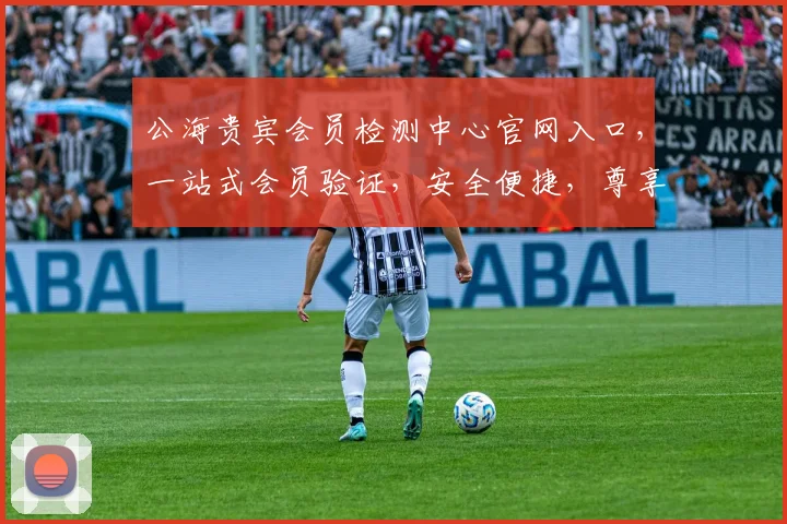 公海贵宾会员检测中心官网入口，一站式会员验证，安全便捷，尊享特权，三步直达