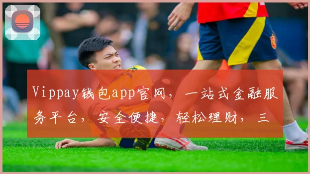 Vippay钱包app官网，一站式金融服务平台，安全便捷，轻松理财，三重保障，值得信赖